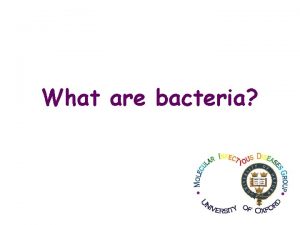 What are bacteria Bacteria are single celled organisms