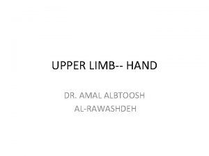 UPPER LIMB HAND DR AMAL ALBTOOSH ALRAWASHDEH The