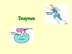 Enzymes Enzymes Enzymes are proteins that catalyse specific