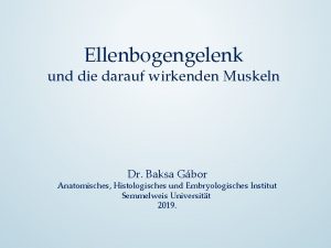 Ellenbogengelenk und die darauf wirkenden Muskeln Dr Baksa