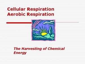 Cellular Respiration Aerobic Respiration The Harvesting of Chemical