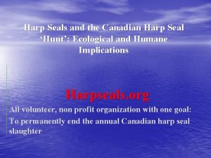 Harp Seals and the Canadian Harp Seal Hunt