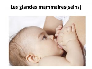 Les glandes mammairesseins Les seins sont des glandes