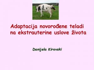 Adaptacija novoroene teladi na ekstrauterine uslove ivota Danijela