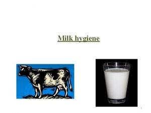 Milk hygiene 1 Milk is secreted by the