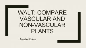 WALT COMPARE VASCULAR AND NONVASCULAR PLANTS Tuesday 9