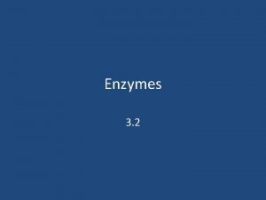 Enzymes 3 2 Activation Energy Barrier Activation Energy