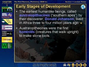 Early Stages of Development The earliest humanlike beings
