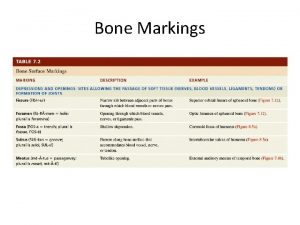 Bone Markings Bone Markings Bones of the Axial