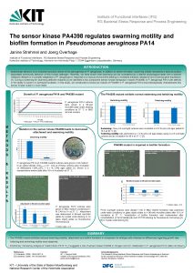 Institute of Functional Interfaces IFG RG Bacterial Stress