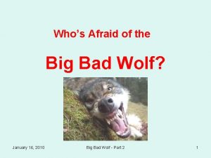 Whos Afraid of the Big Bad Wolf January