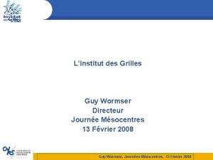 LInstitut des Grilles Guy Wormser Directeur Journe Msocentres