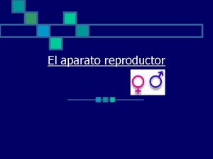 El aparato reproductor Aparato reproductor Masculino n n