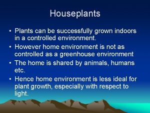 Houseplants Plants can be successfully grown indoors in