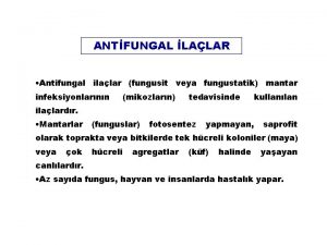 ANTFUNGAL LALAR Antifungal ilalar fungusit veya fungustatik mantar