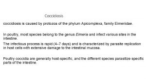 Coccidiosis coccidiosis is caused by protozoa of the