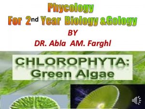 Phycology nd For 2 Year Biology Gology BY