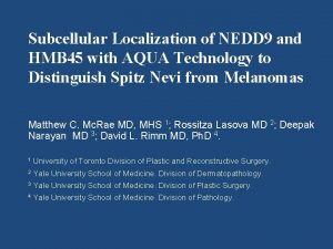Subcellular Localization of NEDD 9 and HMB 45