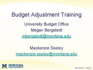 Budget Adjustment Training University Budget Office Megan Bergstedt