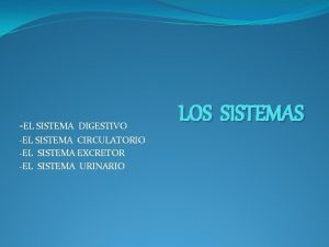 EL SISTEMA DIGESTIVO EL SISTEMA CIRCULATORIO EL SISTEMA