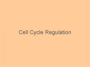 Cell Cycle Regulation Cell Cycle Regulation Regulating the