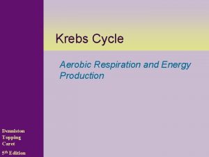 Krebs Cycle Aerobic Respiration and Energy Production Denniston