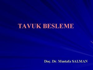 TAVUK BESLEME Do Dr Mustafa SALMAN Gn boyu