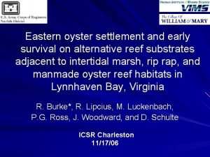 Eastern oyster settlement and early survival on alternative