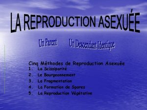 Cinq Mthodes de Reproduction Asexue 1 2 3