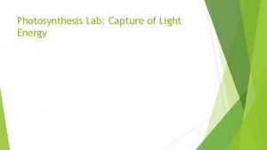 Photosynthesis Lab Capture of Light Energy Photosynthesis Capture