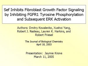 Sef Inhibits Fibroblast Growth Factor Signaling by Inhibiting
