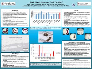 Block Island Horseshoe Crab Paradise Department of Biology