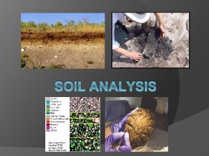 SOIL ANALYSIS What is Soil Soil itself is