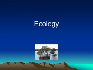 Ecology WHAT IS ECOLOGY 1 Ecology comes from