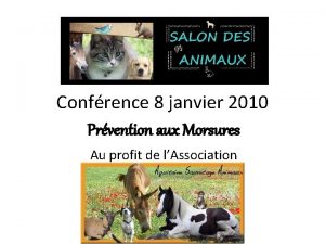 Confrence 8 janvier 2010 Prvention aux Morsures Au