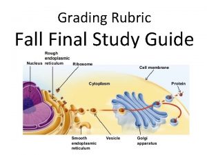 Grading Rubric Fall Final Study Guide 1 List