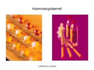 Hormonsystemet Hormonsystemet Sender beskjeder rundt i kroppen Beskjedene
