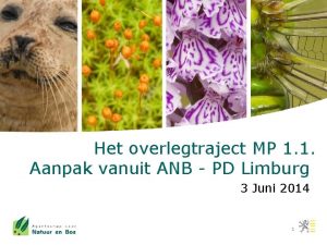 Het overlegtraject MP 1 1 Aanpak vanuit ANB