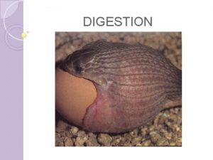 DIGESTION What is digestion The process in which