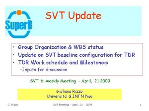 SVT Update Group Organization WBS status Update on