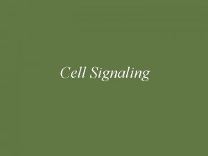 Cell Signaling Cell signaling cells can process information