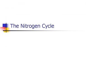 The Nitrogen Cycle Nitrogen n The most abundant