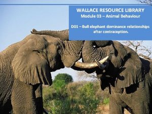 WALLACE RESOURCE LIBRARY Module 03 Animal Behaviour D