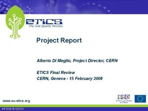 Project Report Alberto Di Meglio Project Director CERN