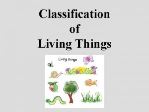 Classification of Living Things WHY CLASSIFY Identifies and