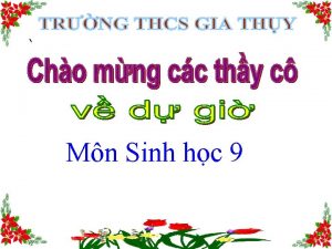 Mn Sinh hc 9 Qua nhng kin thc