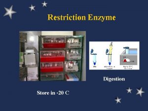 Restriction Enzyme Digestion Store in 20 C Restriction