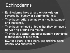 Echinoderms have a hard endoskeleton covered by bumpy