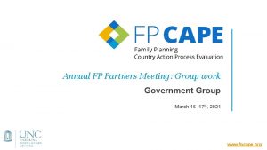 Annual FP Partners Meeting Group work Government Group
