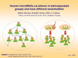 Human micro RNAs cosilence in wellseparated groups and